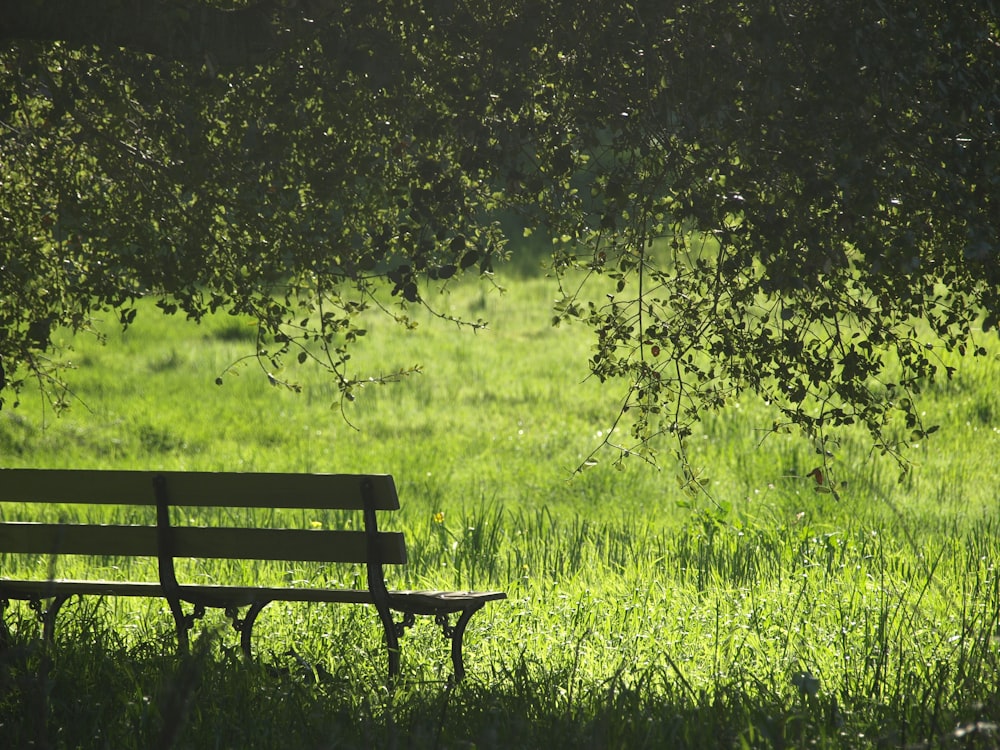 Banc en bois marron et noir à côté de l’herbe verte