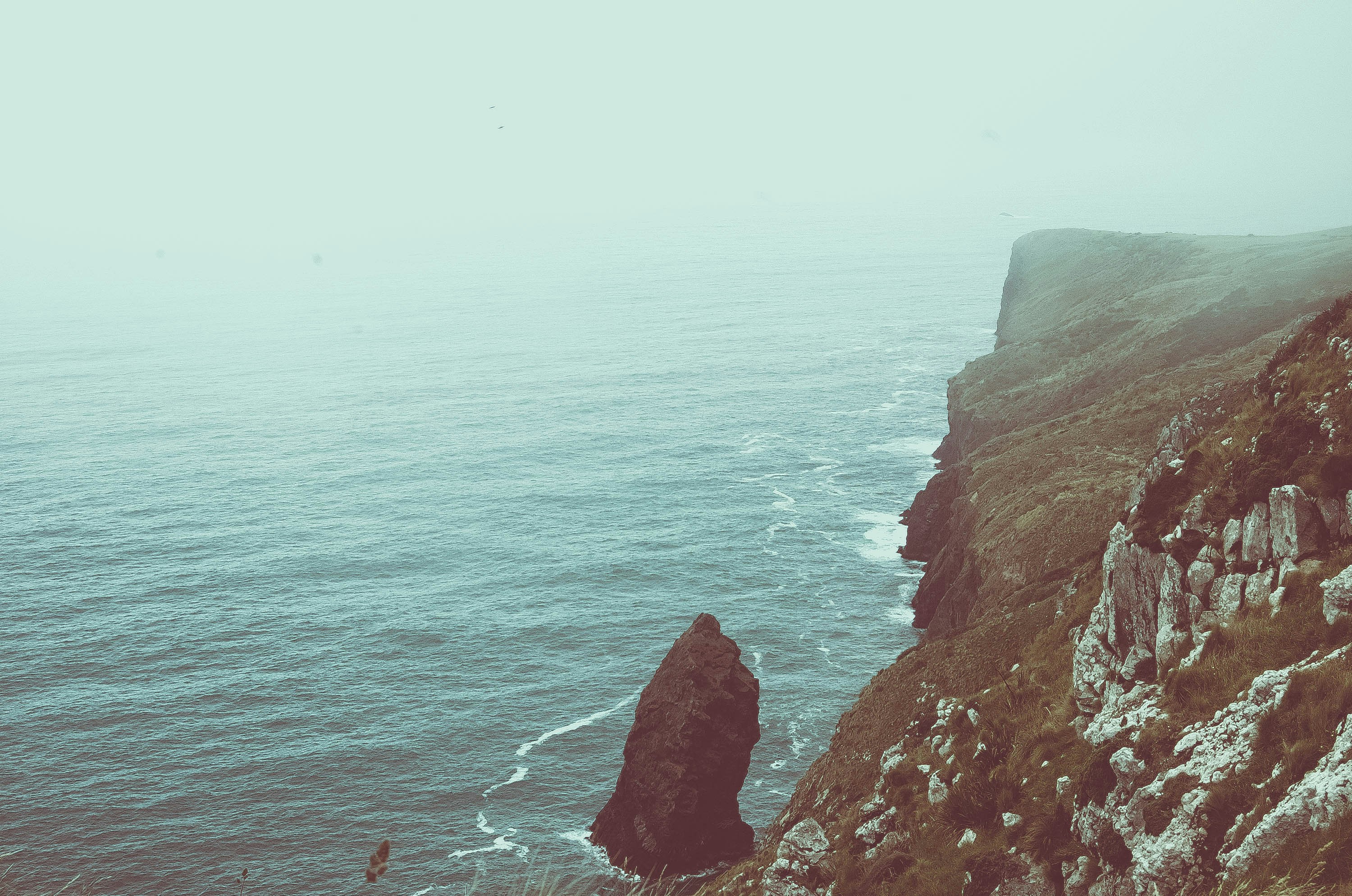 The Otago headlands are home to some of the most wicked views, winds and waters. But still very beautiful