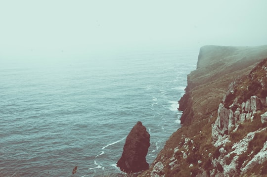 landscape photo of cliff in Dunedin New Zealand