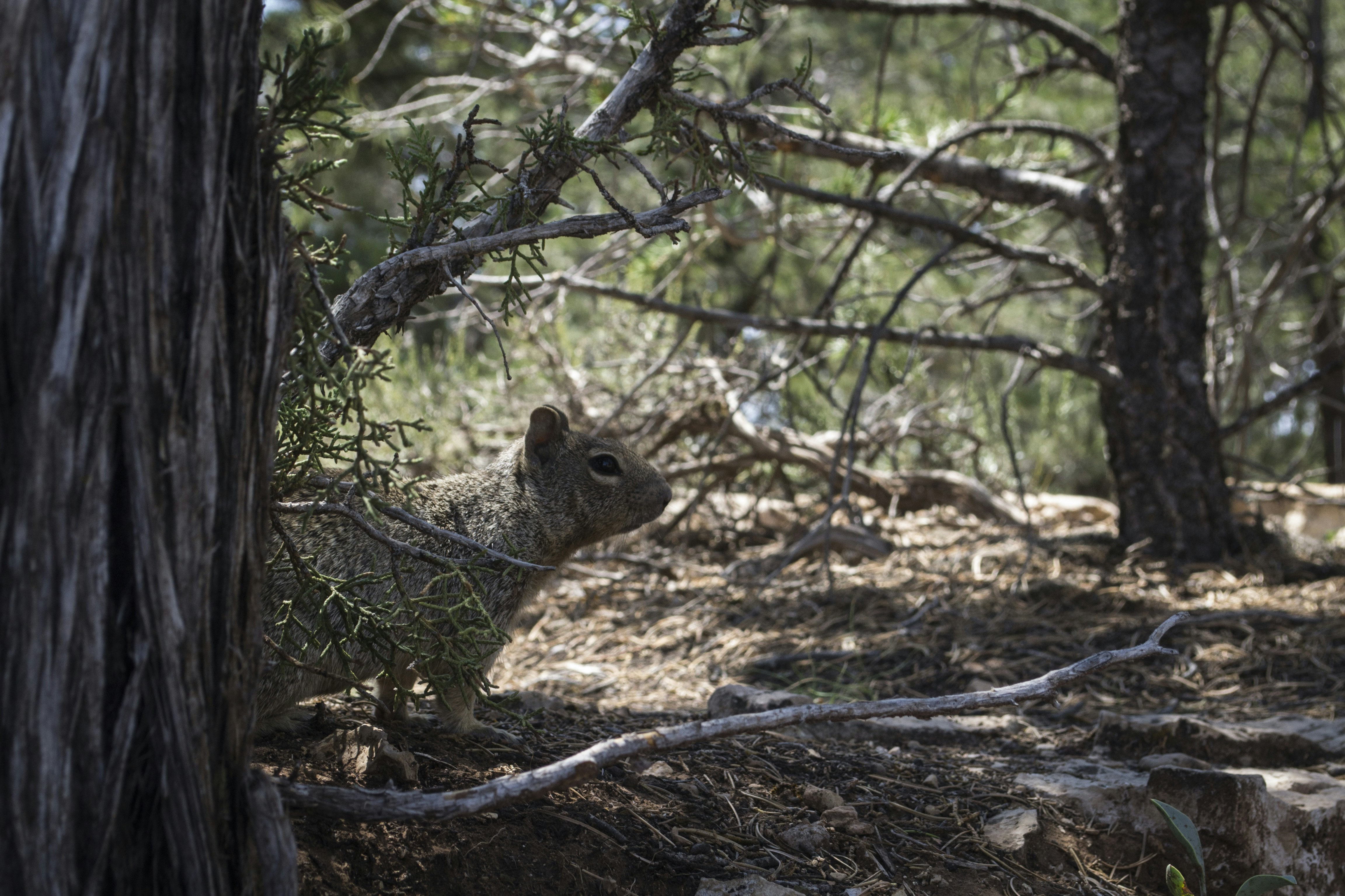 Free Unsplash photo from Bethany Stephens