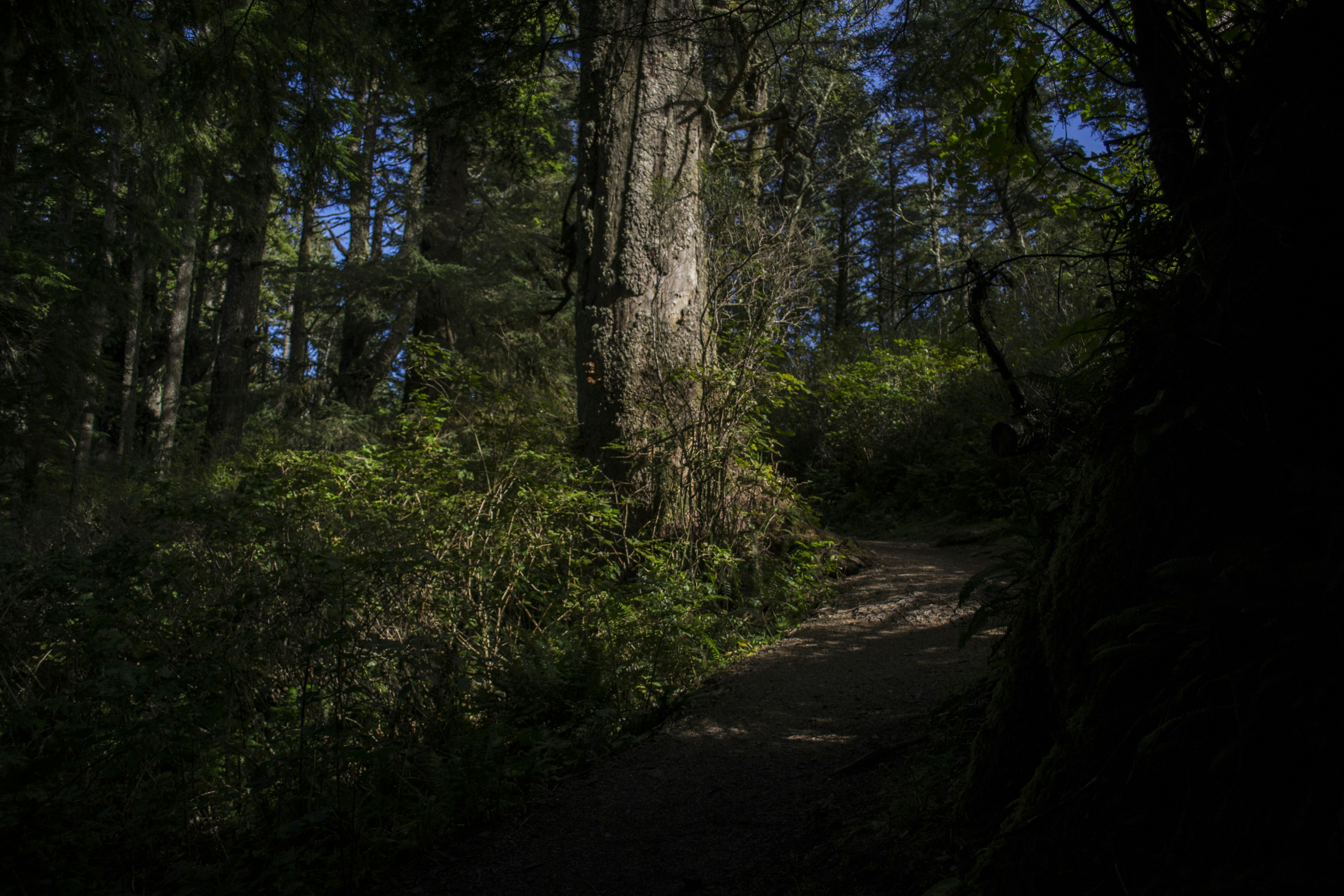 Free Unsplash photo from Bethany Stephens