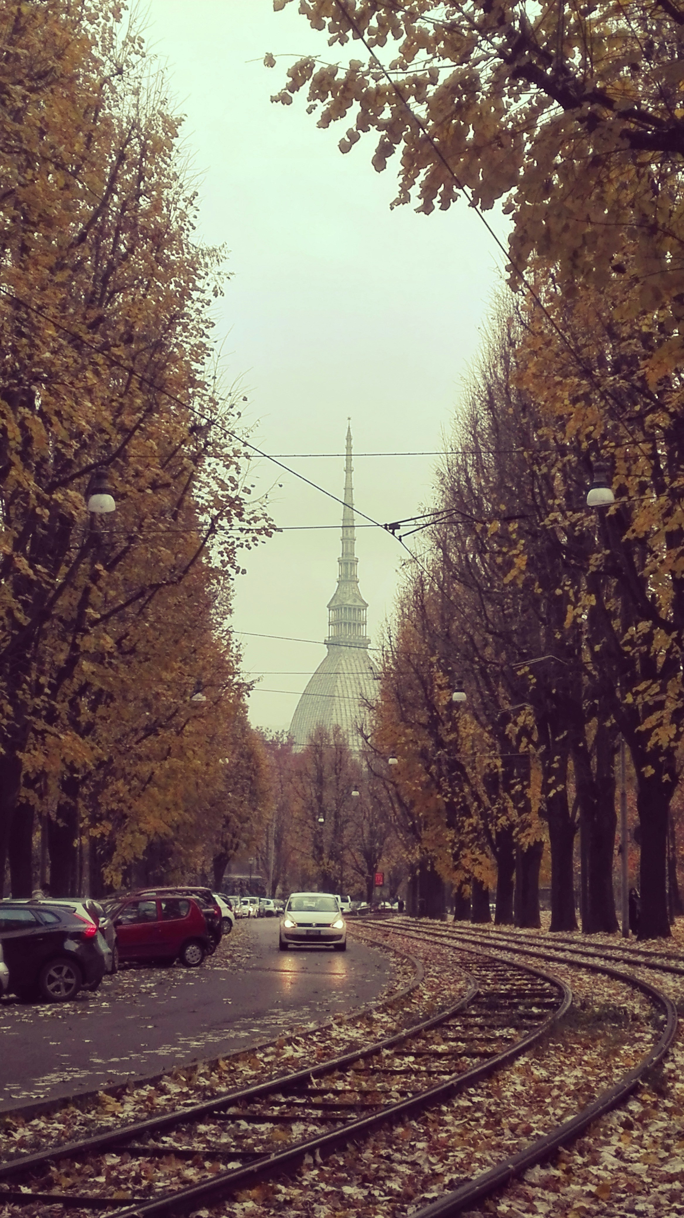 Free Unsplash photo from Alina Ronco