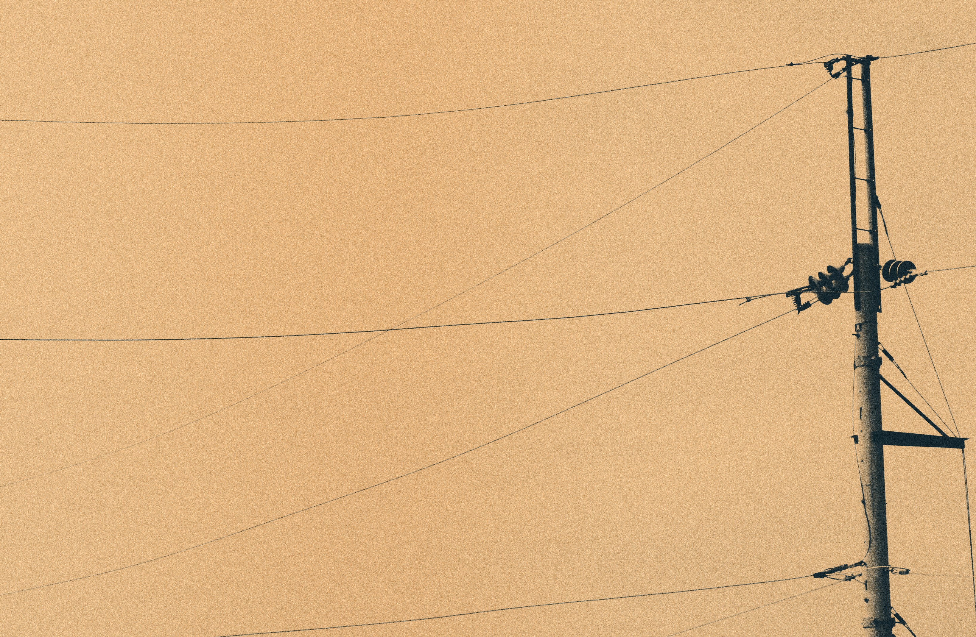 Free Unsplash photo from Vincent Llorin