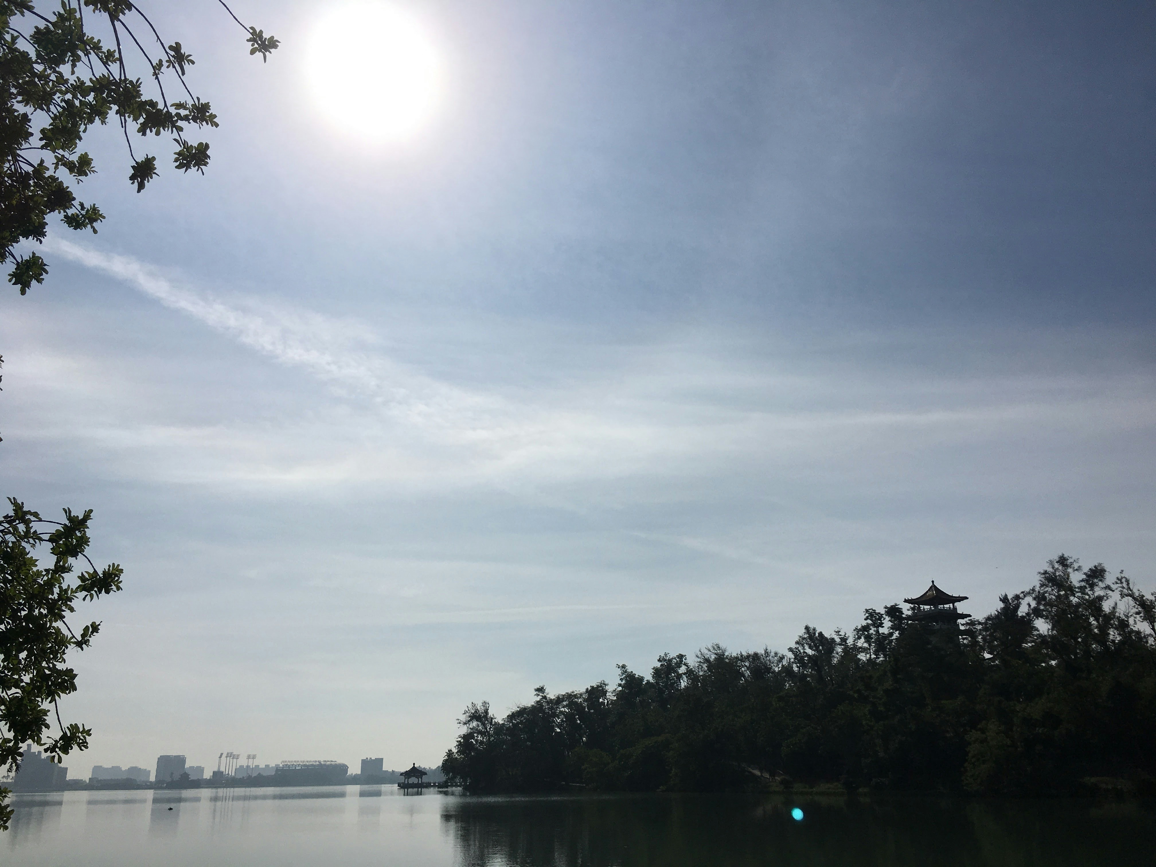 Free Unsplash photo from Edgar Koh