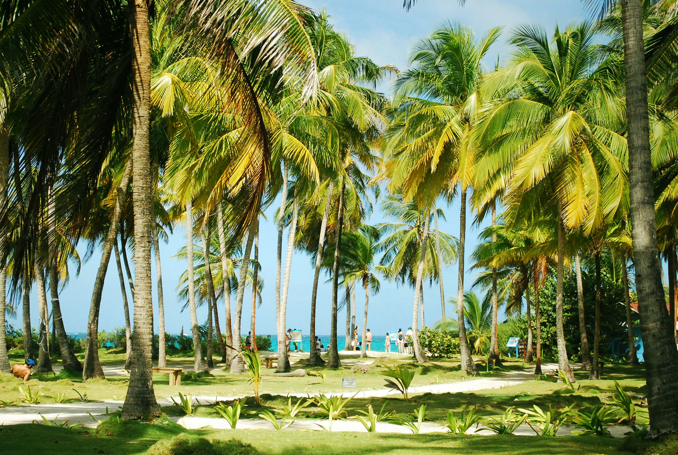 Free Unsplash photo from Araceli Cruz