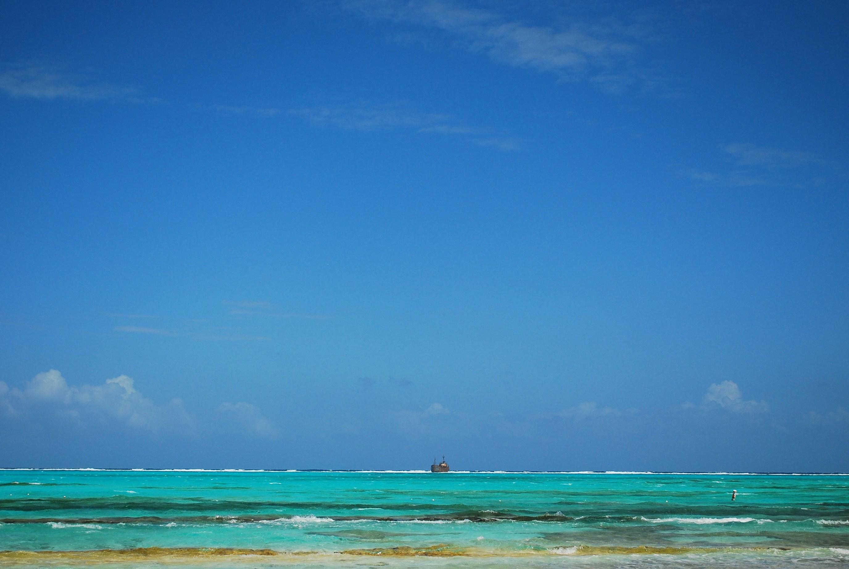 Free Unsplash photo from Araceli Cruz