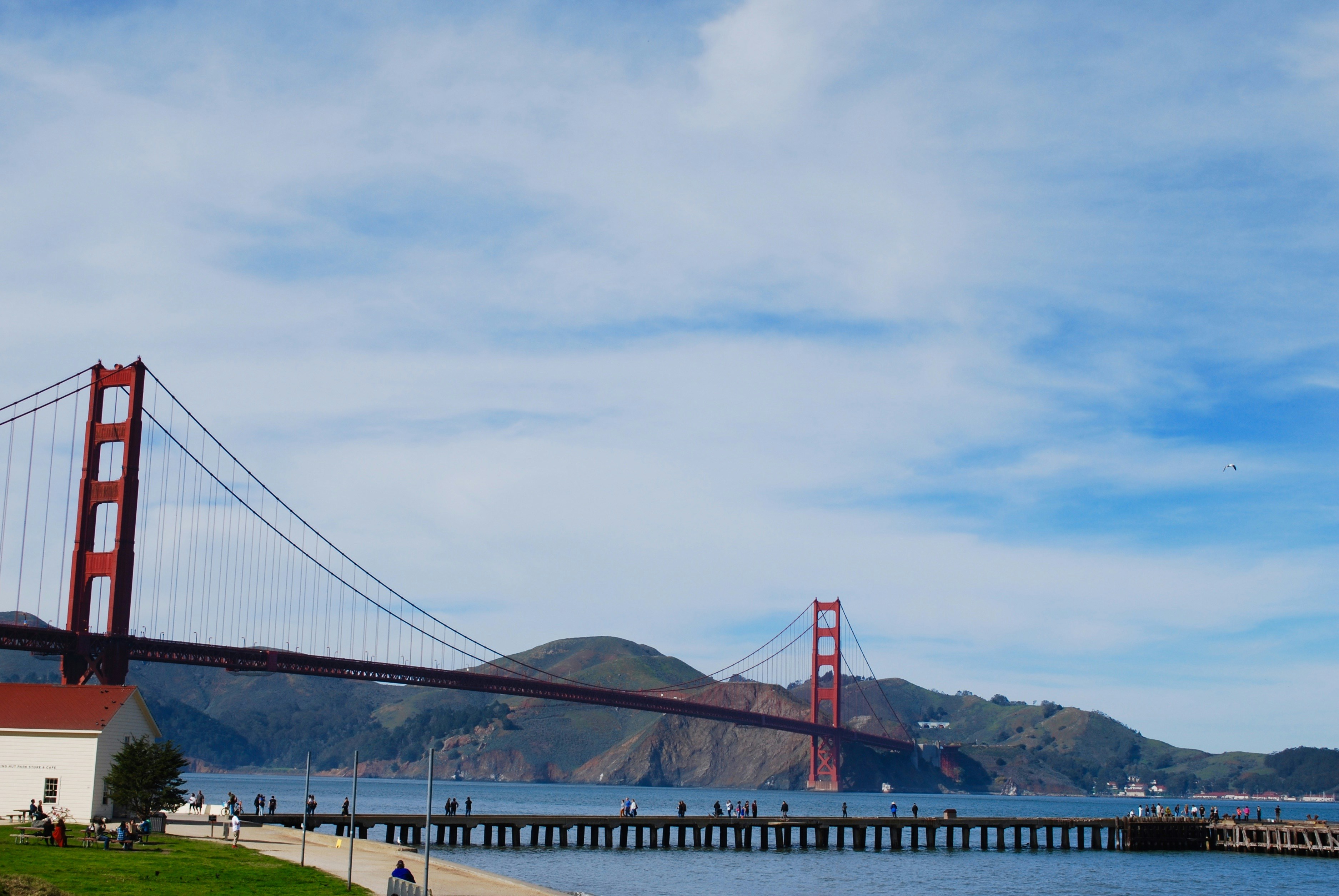 Free Unsplash photo from Araceli Cruz