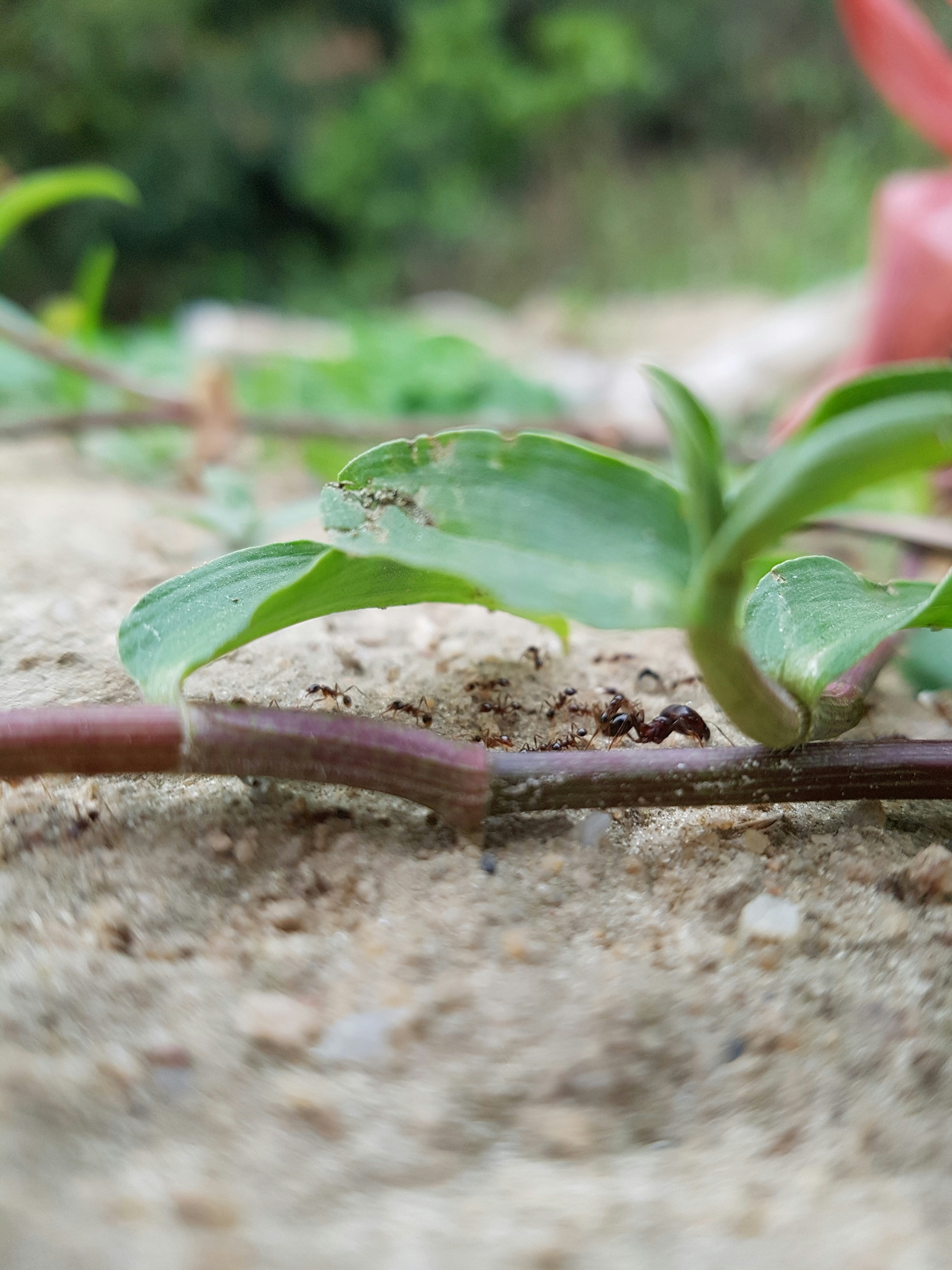 Free Unsplash photo from 张 嘴