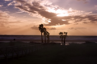 A vibrant beach party scene with palm trees swaying under a sunset sky.