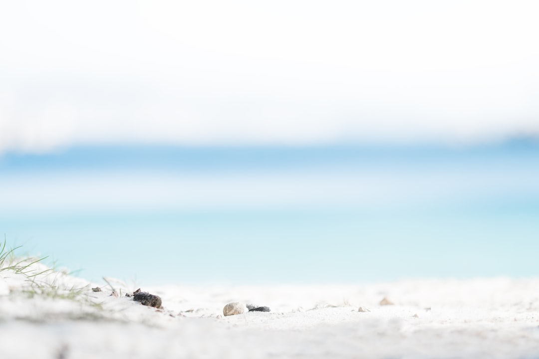 white shore under sunny sky