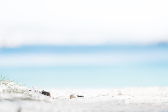 white shore under sunny sky in Marseille France