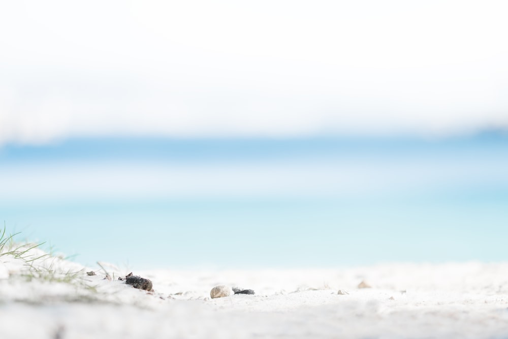 Spiaggia bianca sotto il cielo soleggiato