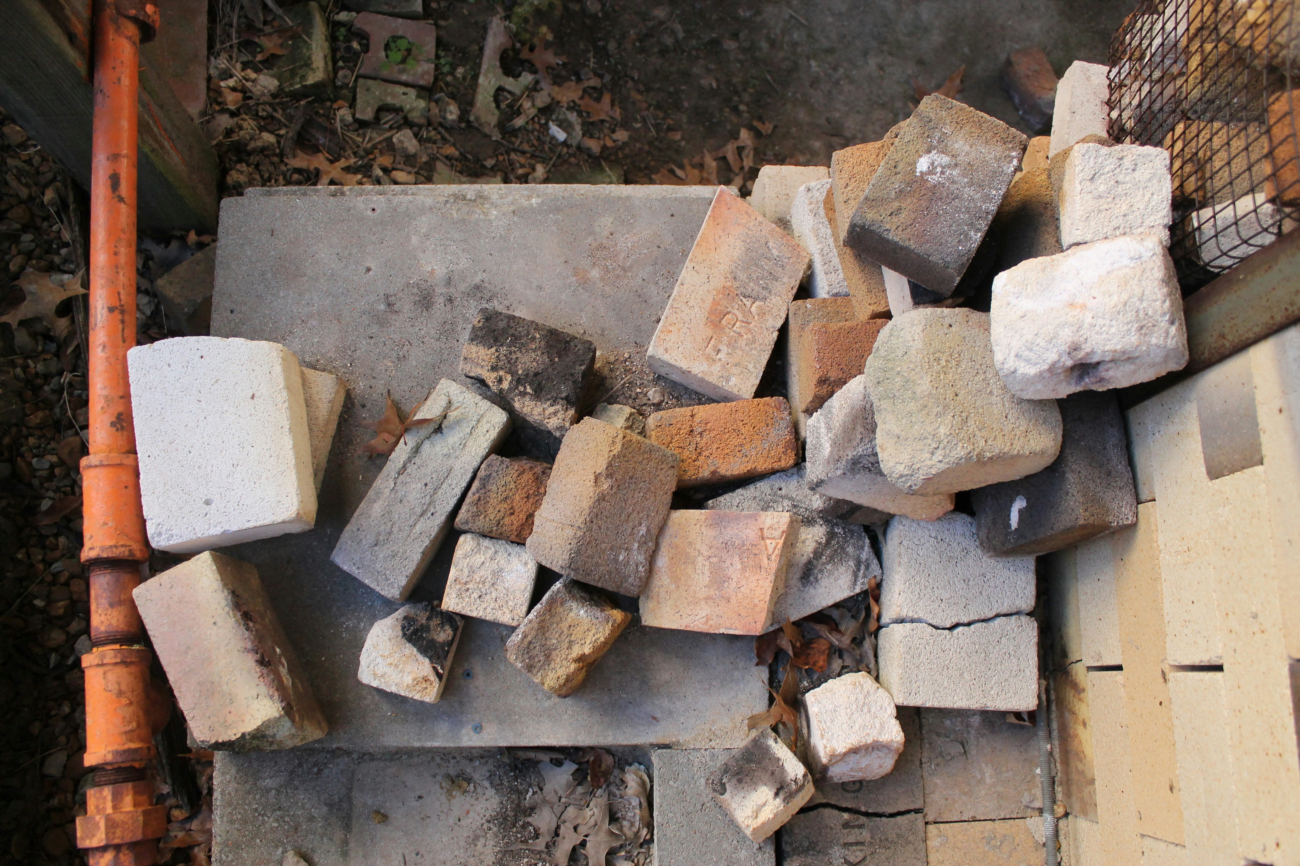 Free Unsplash photo from Dev Menon