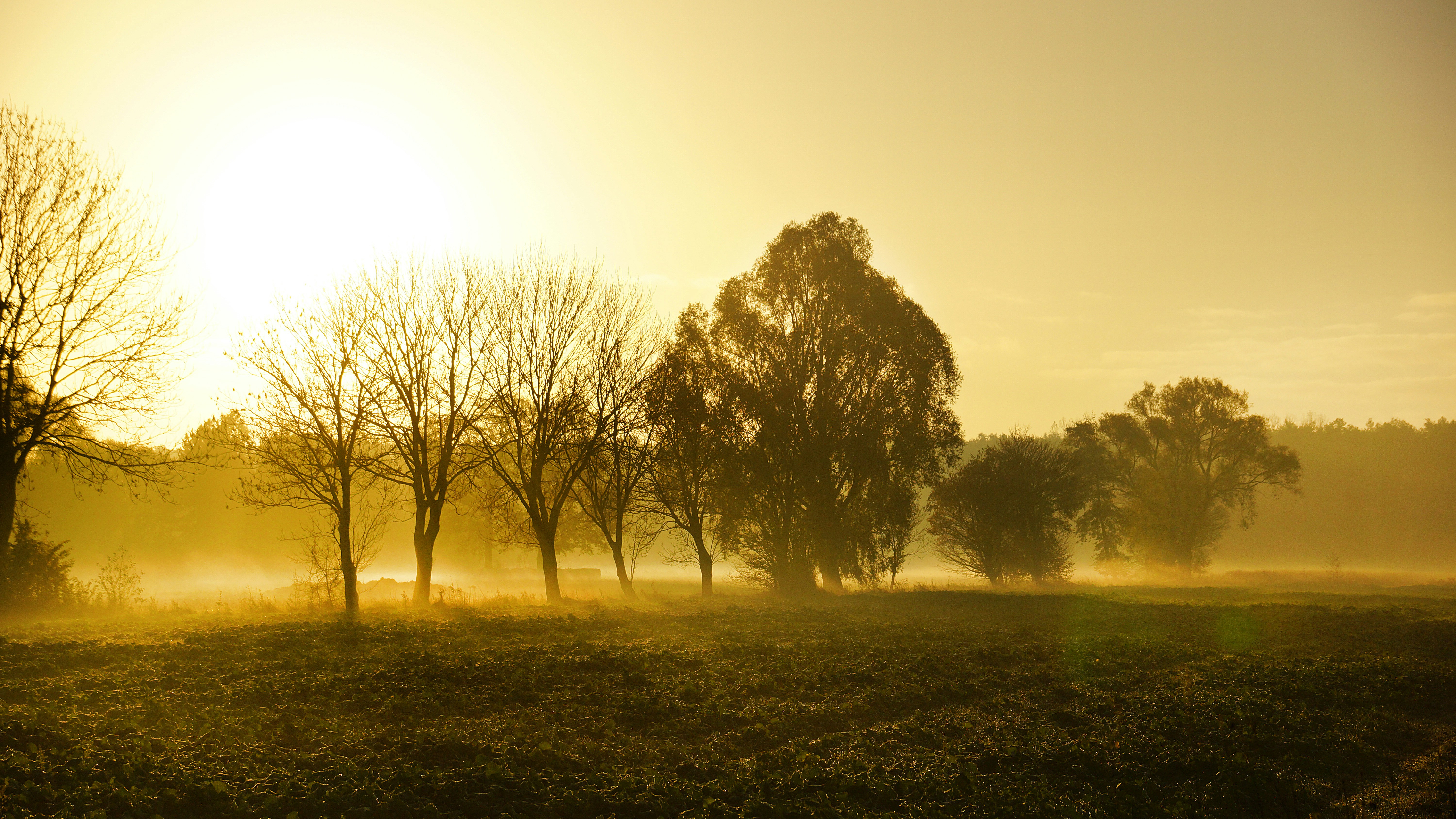 Free Unsplash photo from Helmut Liebelt