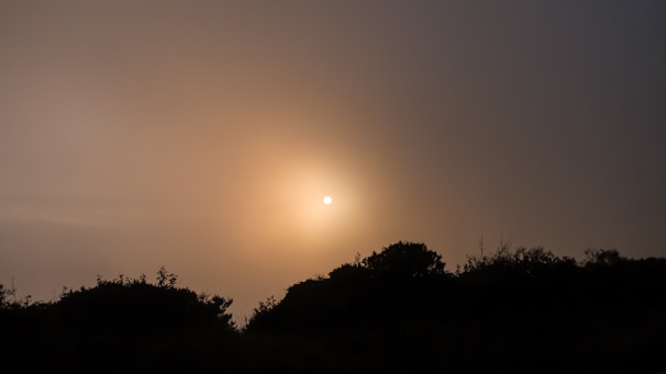 A still image from a recent video project showing a warm, golden-hour outdoor scene.