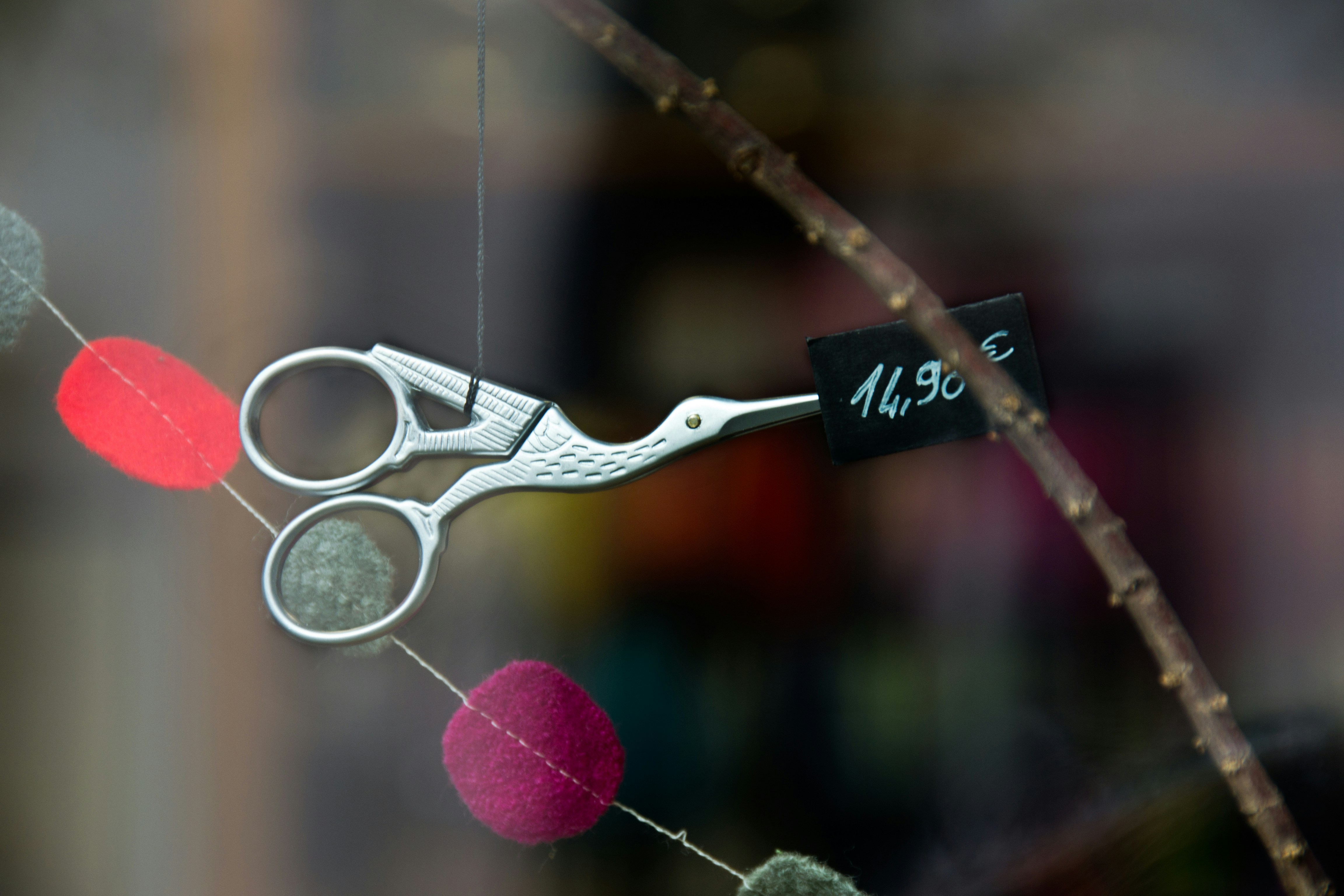 Free Unsplash photo from Laura Gsv