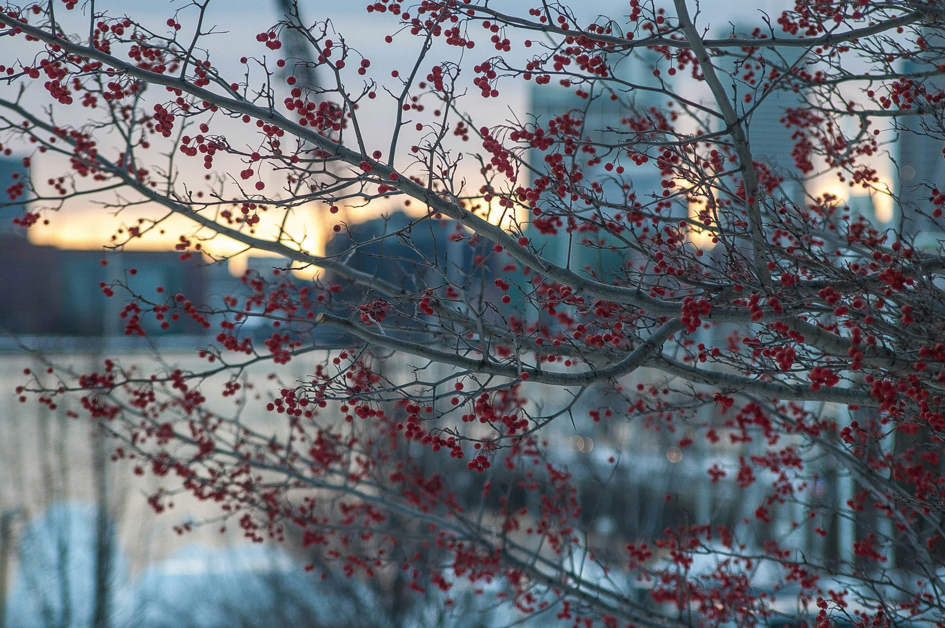 Free Unsplash photo from Andrew Loschiavo