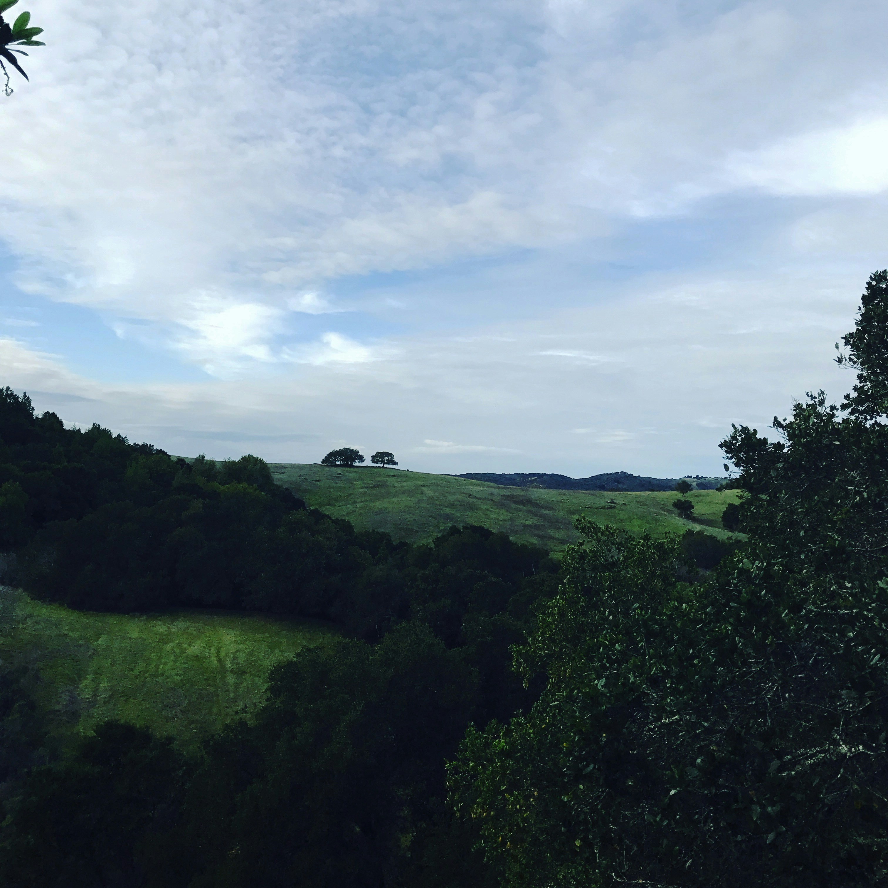 Free Unsplash photo from Heather Wei