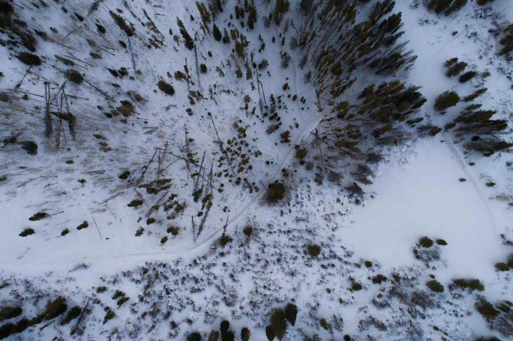 an aerial view of a snow covered forest