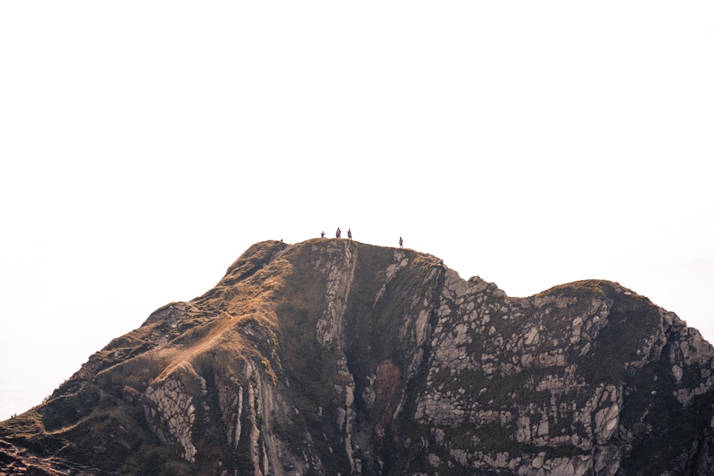 people in the cliff during daytime