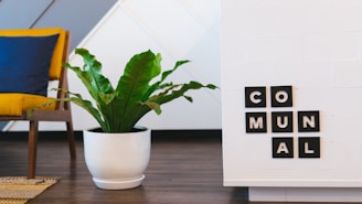 green leafed plant on white cavase