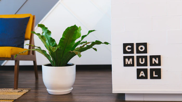 Digital Nomad Coliving