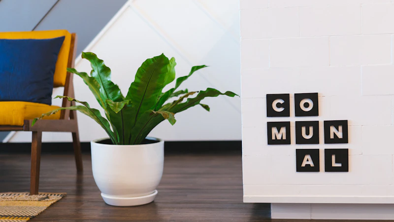 Best Co-Living Spaces for Digital Nomads in Dammam
