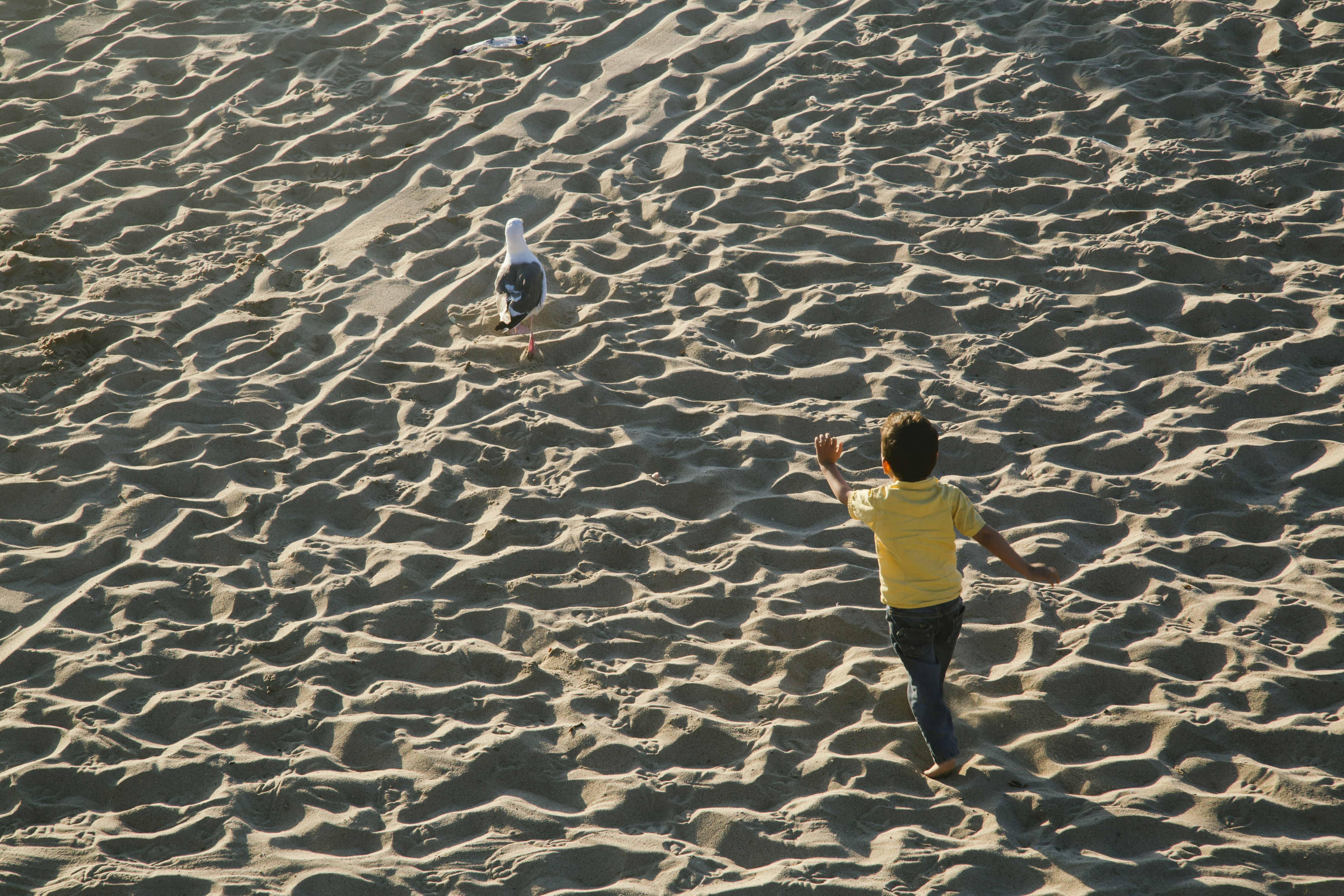 Free Unsplash photo from Edan Cohen