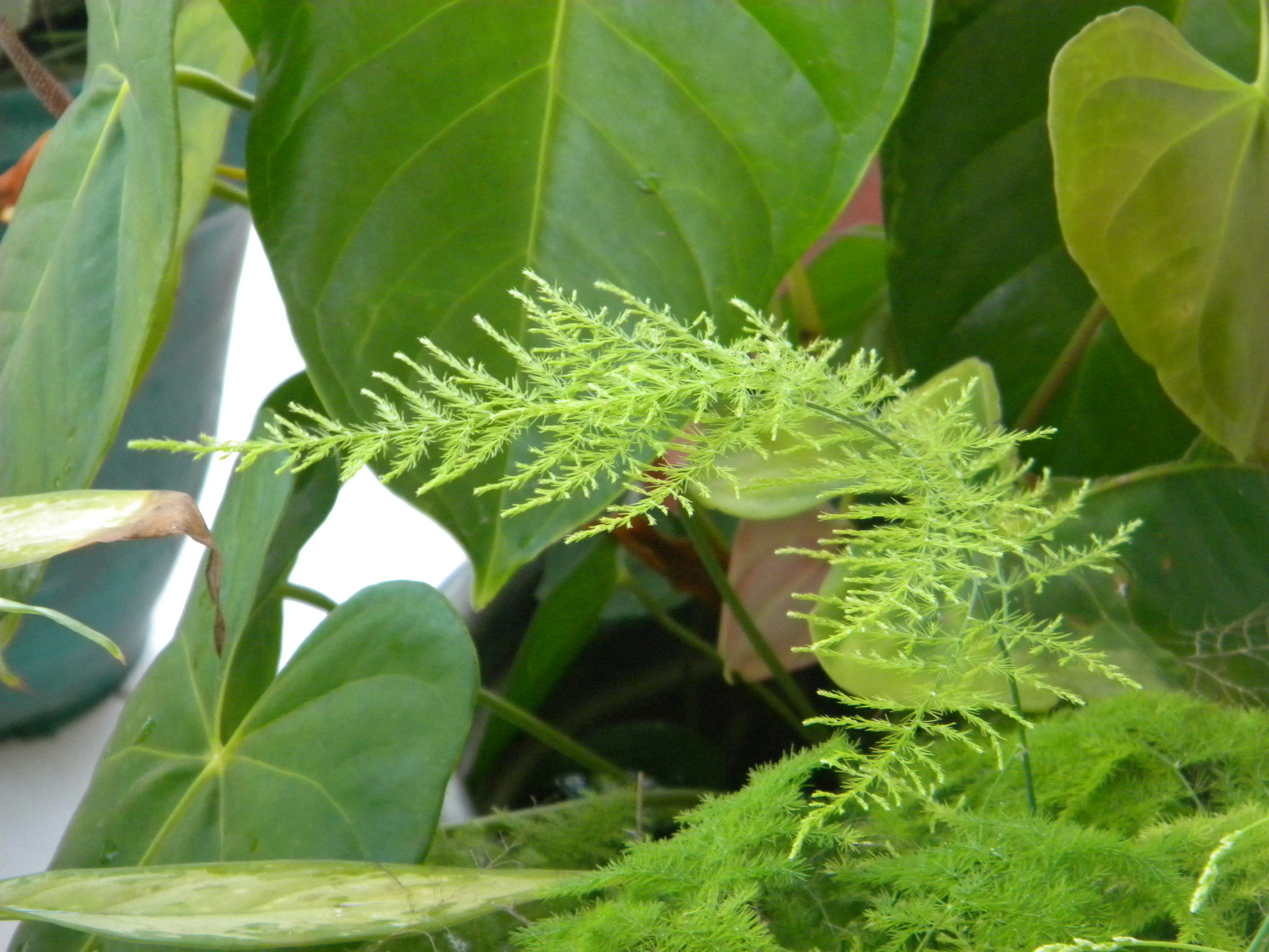 Free Unsplash photo from luis palacio