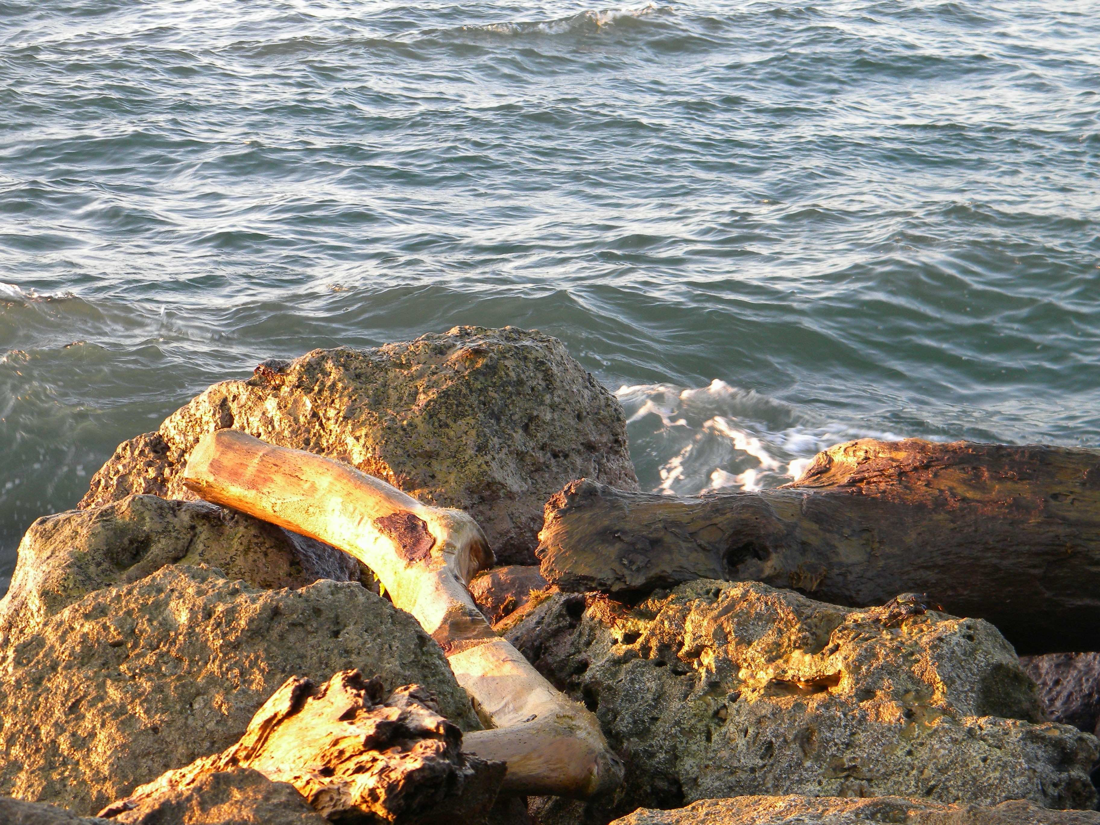 Free Unsplash photo from luis palacio