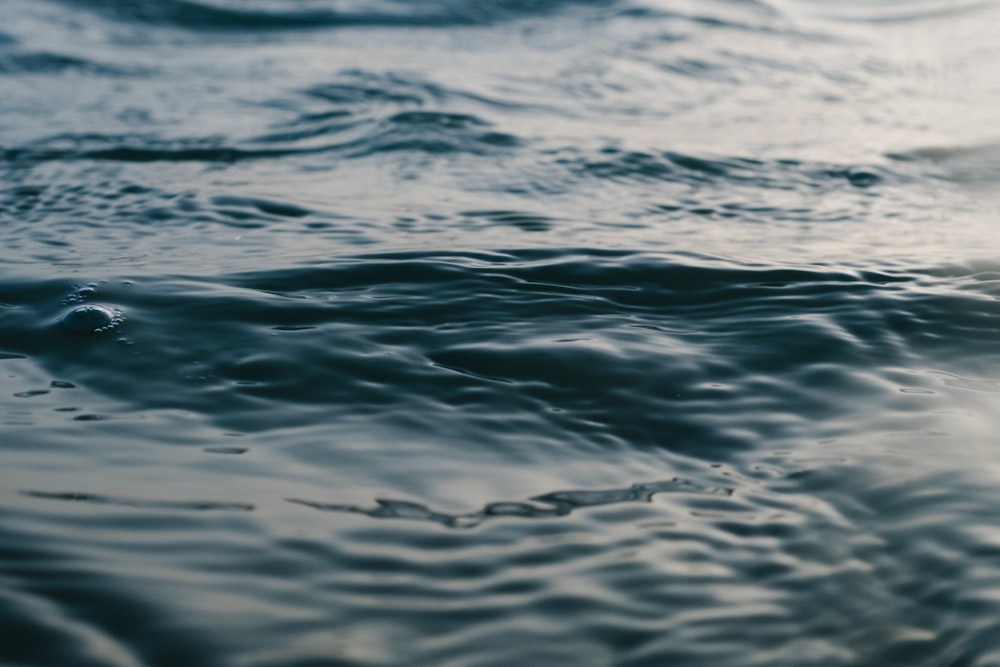 closeup photography of body of water at daytime