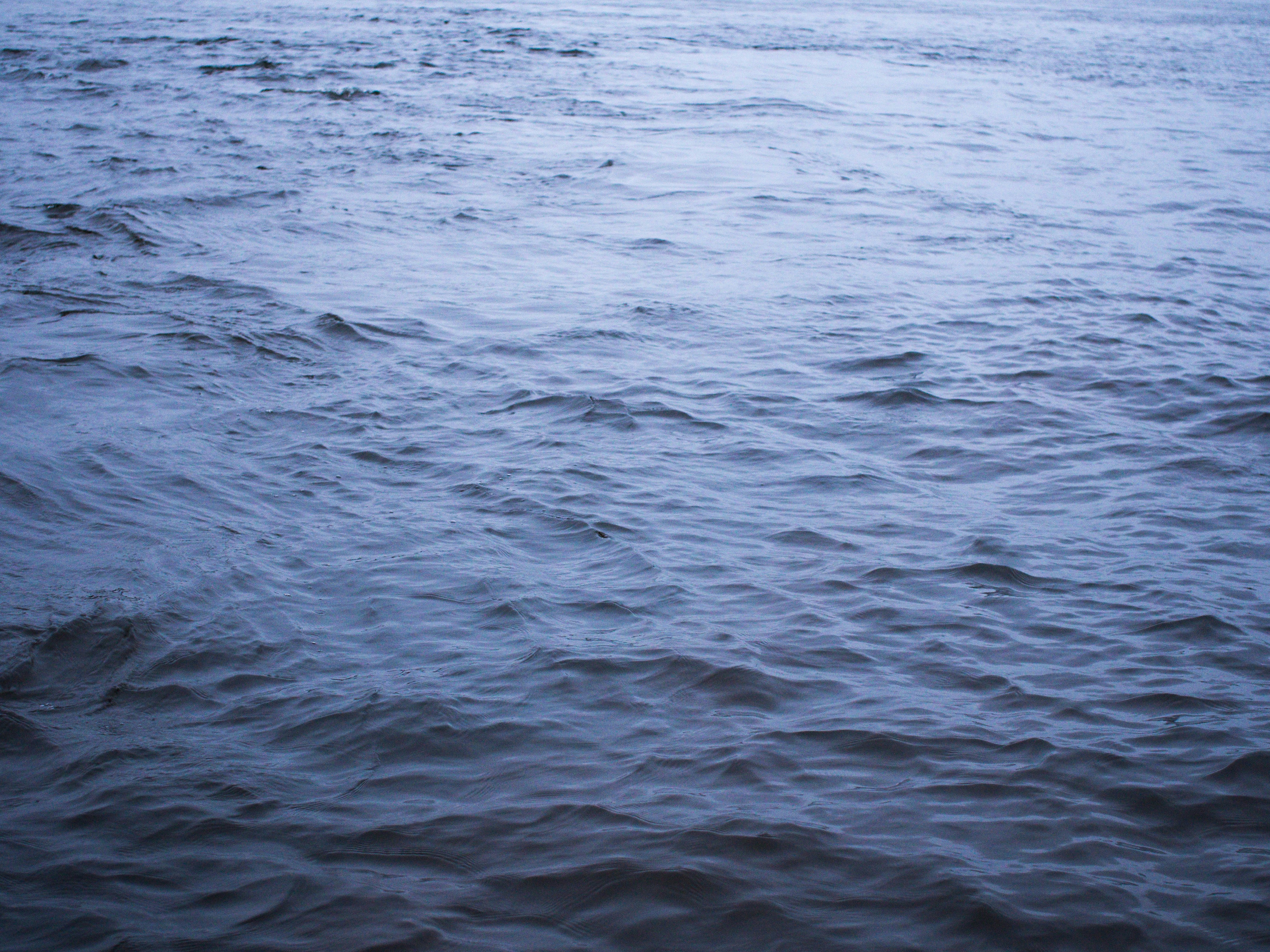 Free Unsplash photo from georgy kowalski