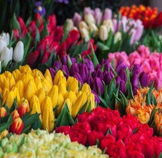 assorted flowers