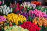 assorted flowers