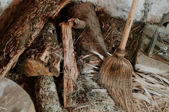 A rustic setting featuring a bundle of firewood, a straw broom, and scattered dried leaves and twigs. The environment suggests a natural, earthy theme with the texture of the wood and straw being prominent.