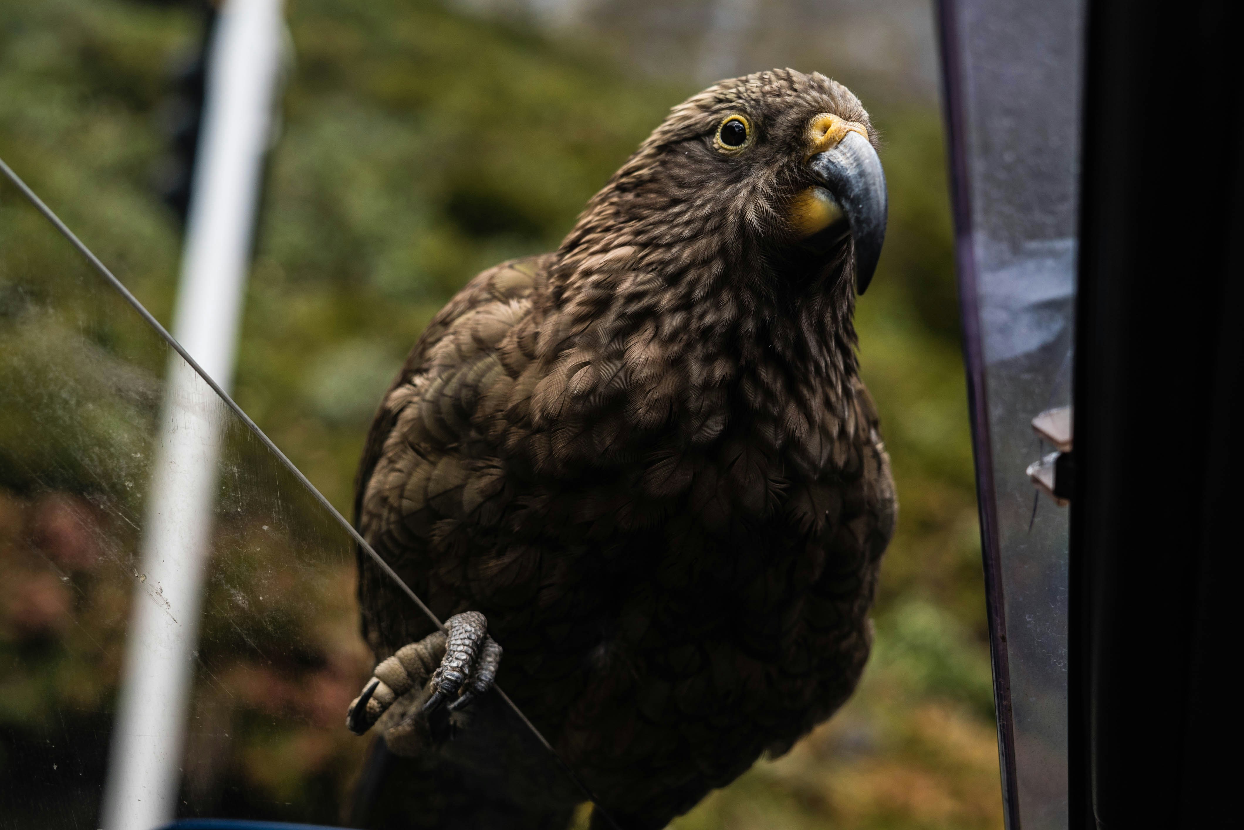 Free Unsplash photo from Felix Plakolb