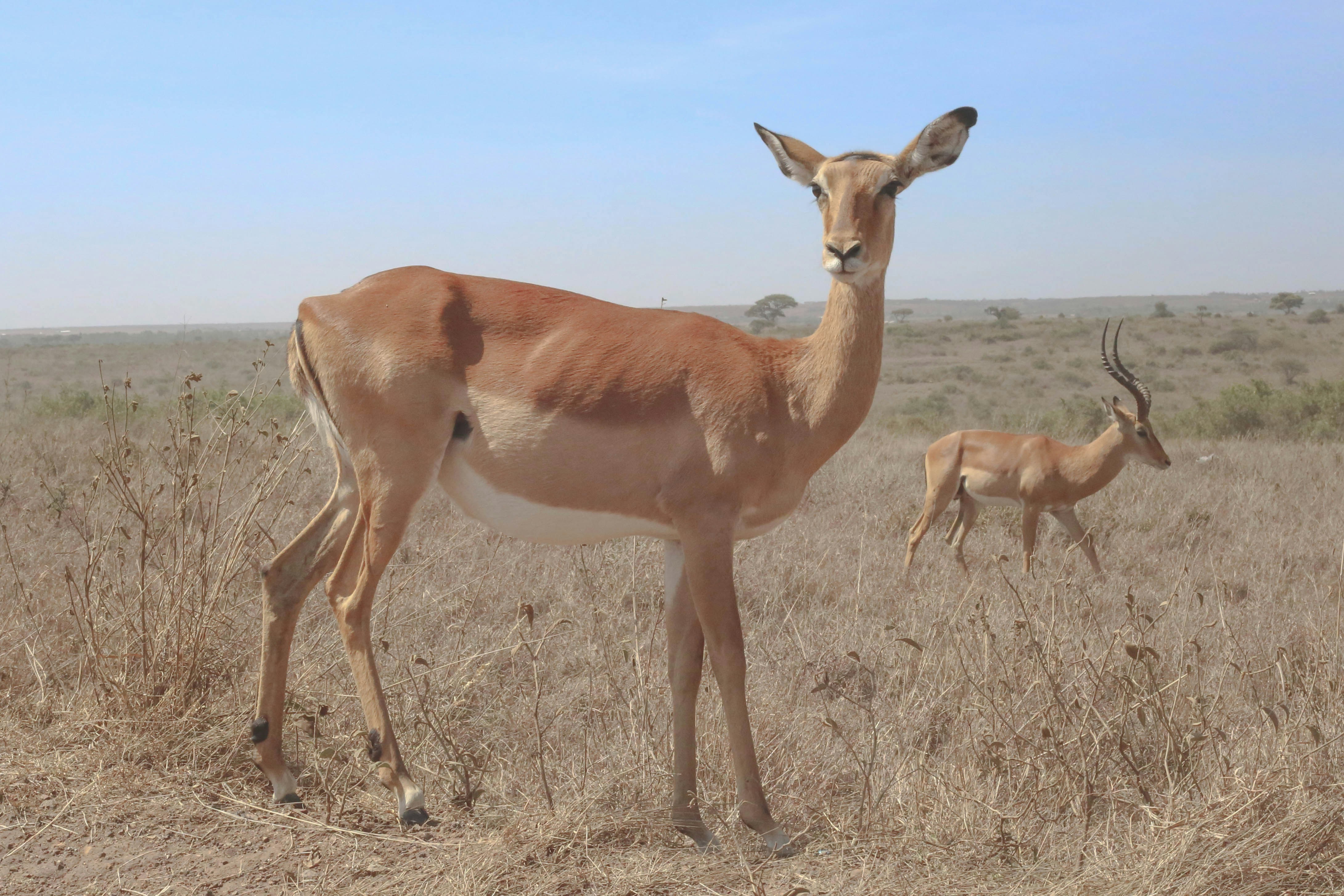 Free Unsplash photo from Jared Malan