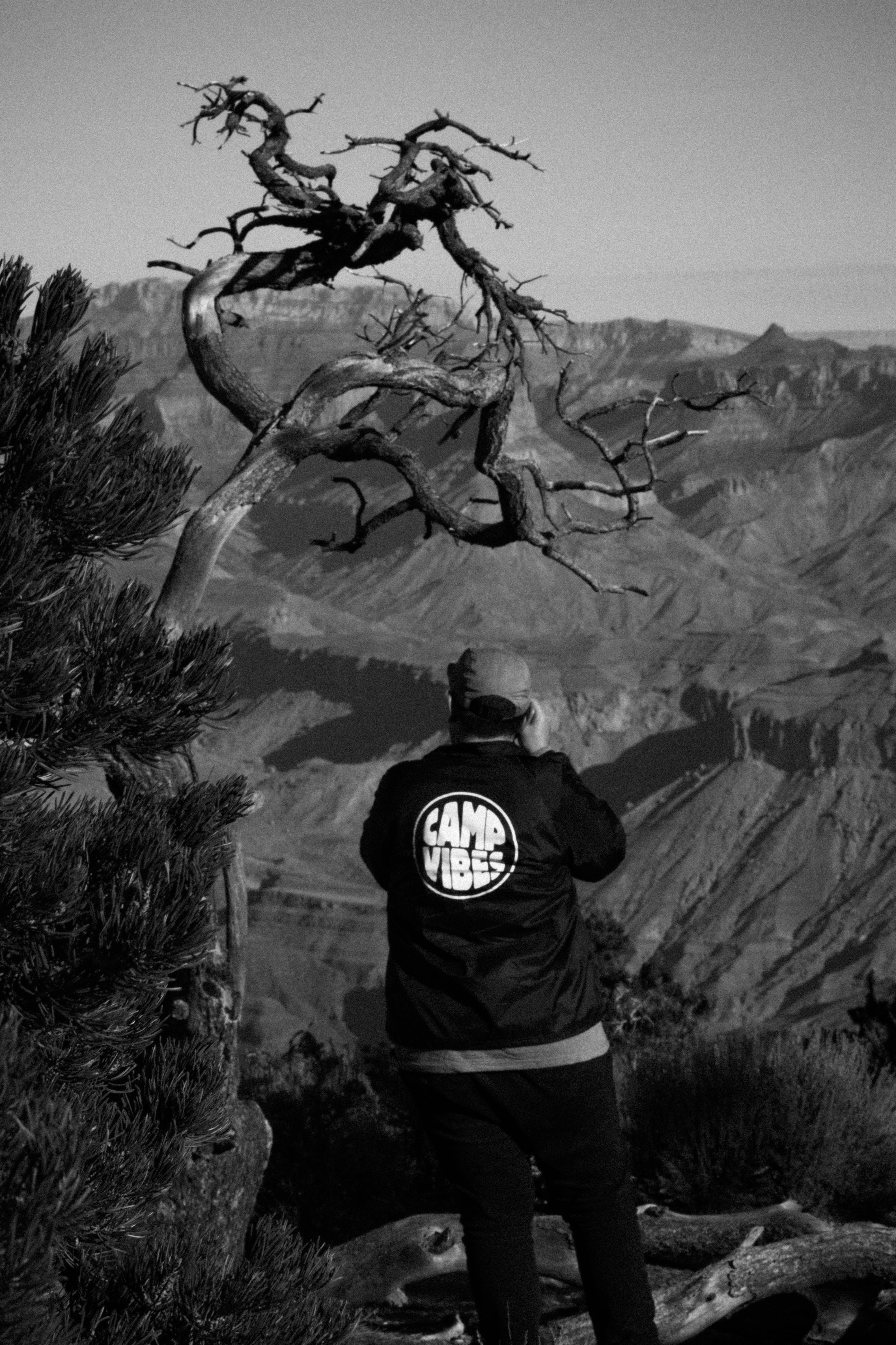 Free Unsplash photo from Taylor Davis