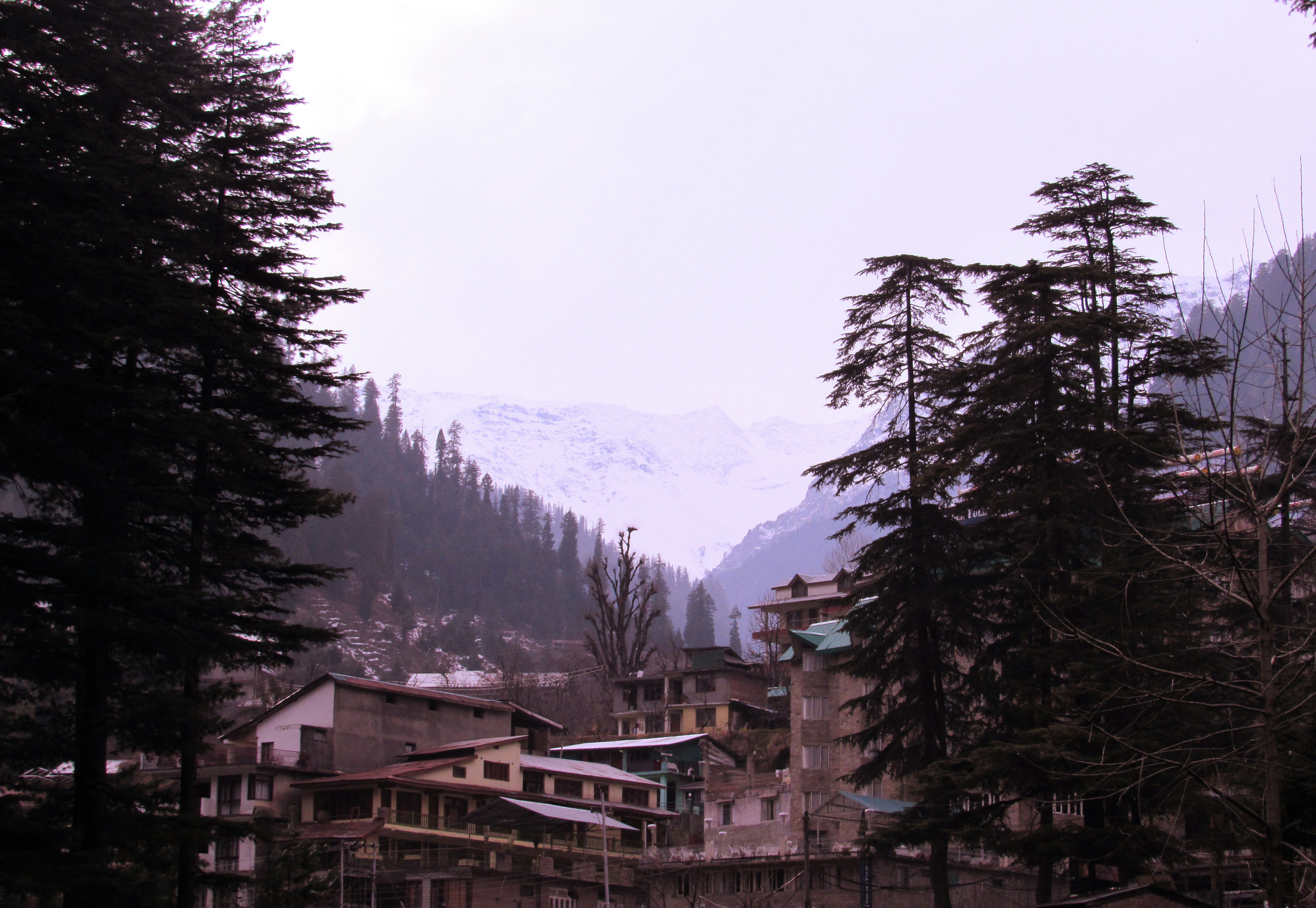 Free Unsplash photo from Chandrakant Sawant