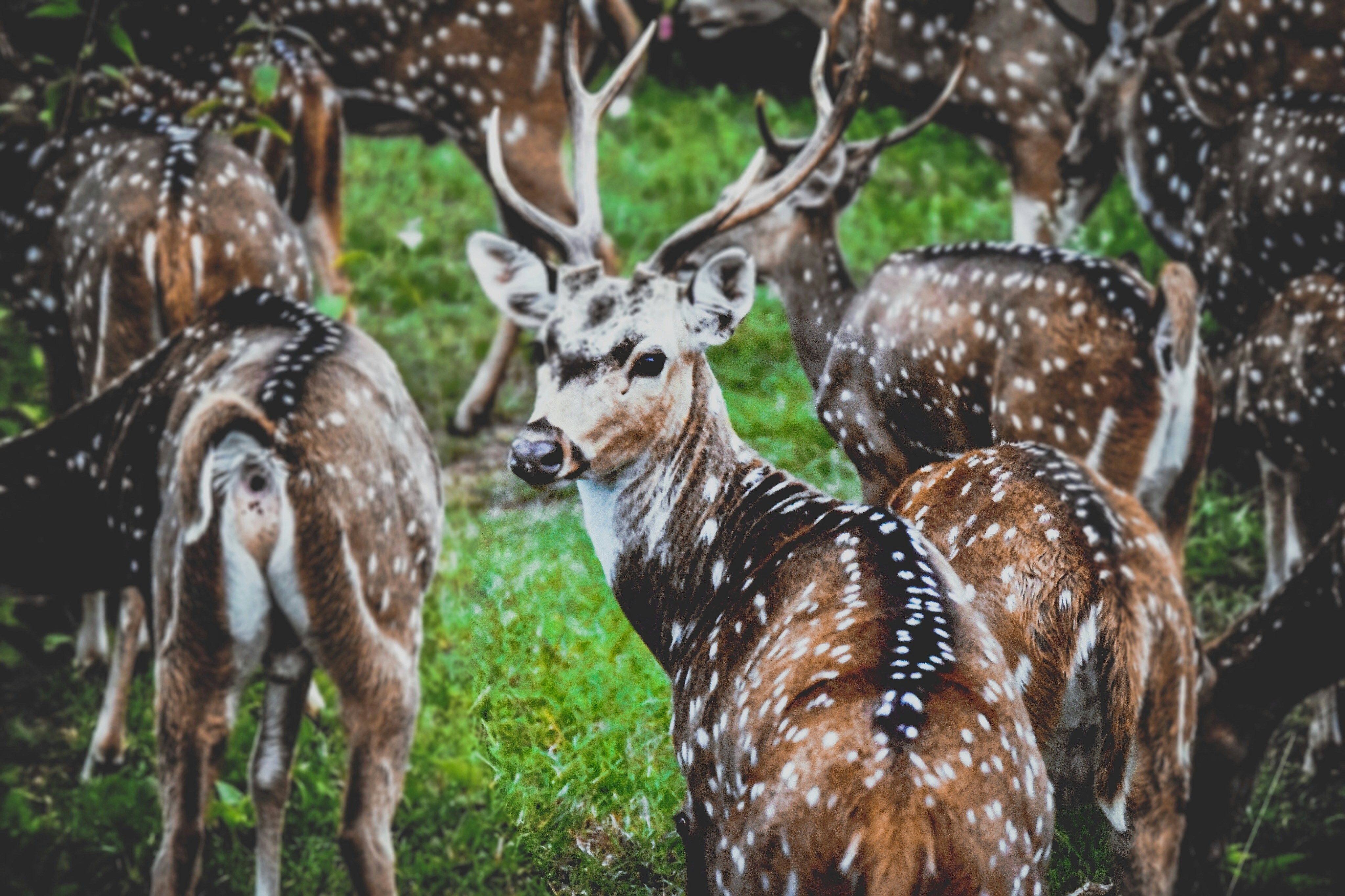 Free Unsplash photo from Saud Sarosh