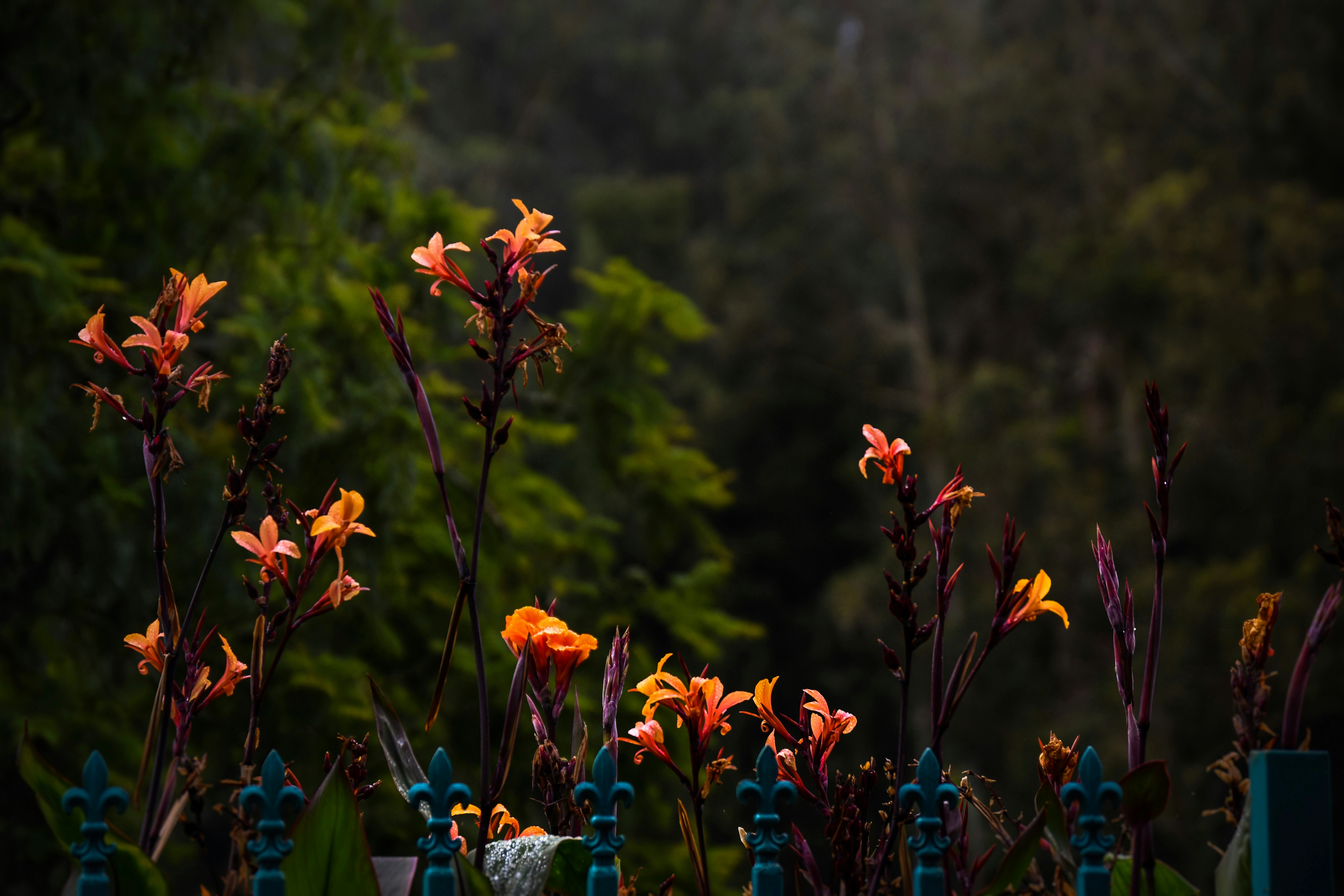 Free Unsplash photo from Saud Sarosh