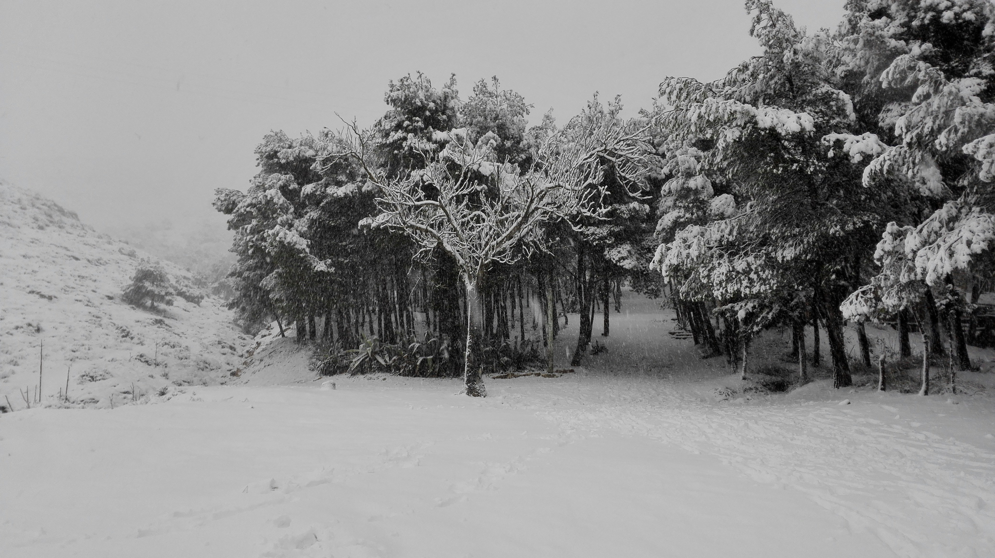 Free Unsplash photo from Carlos González Valiente