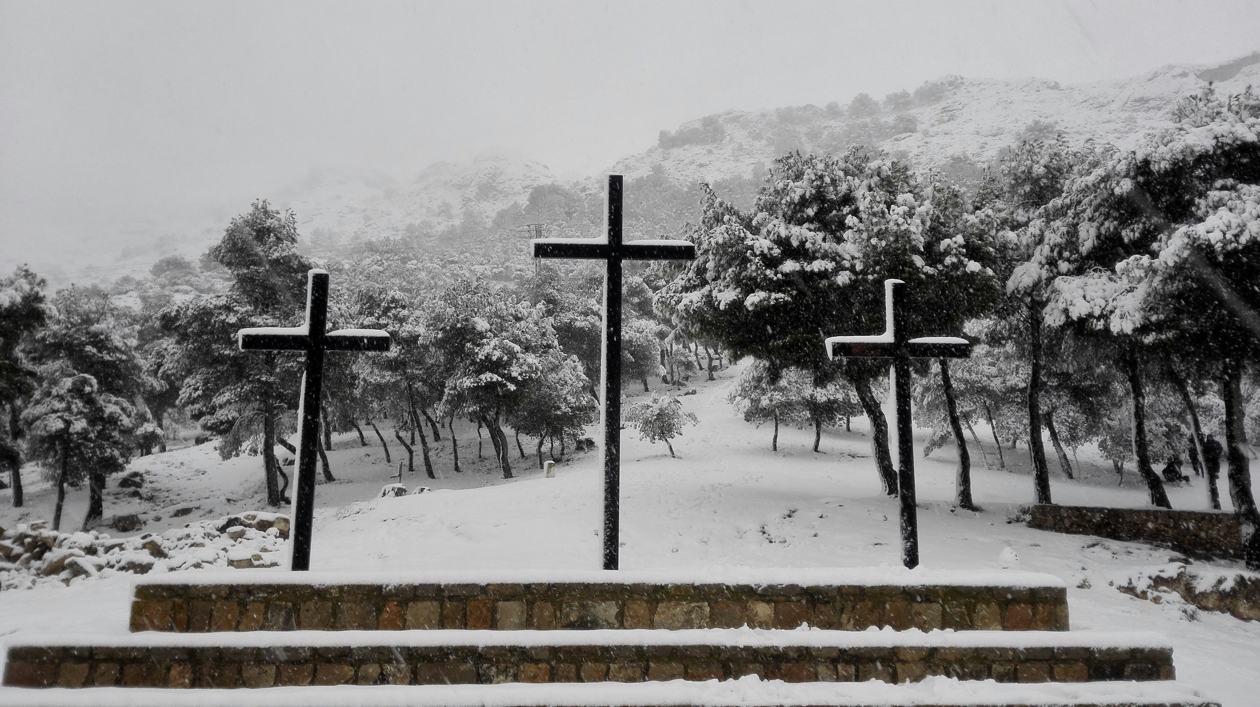 Free Unsplash photo from Carlos González Valiente