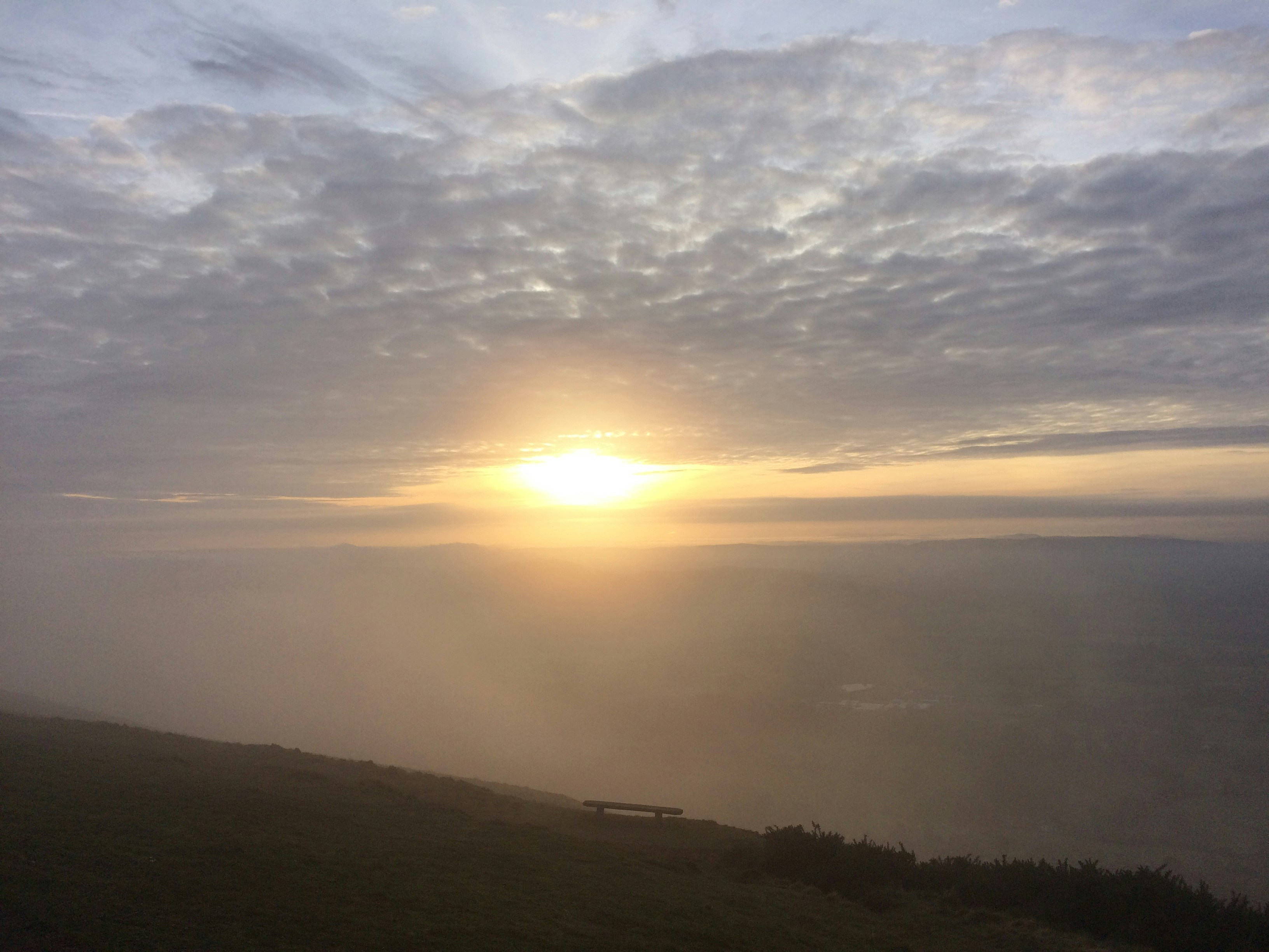 Free Unsplash photo from William Jones