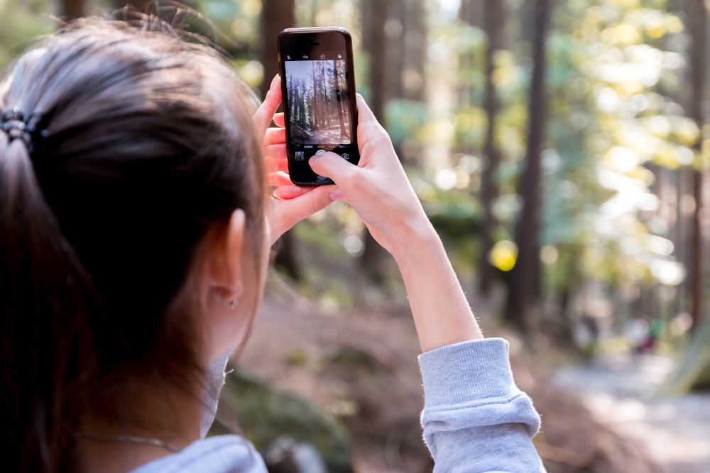 person taking photo of trees