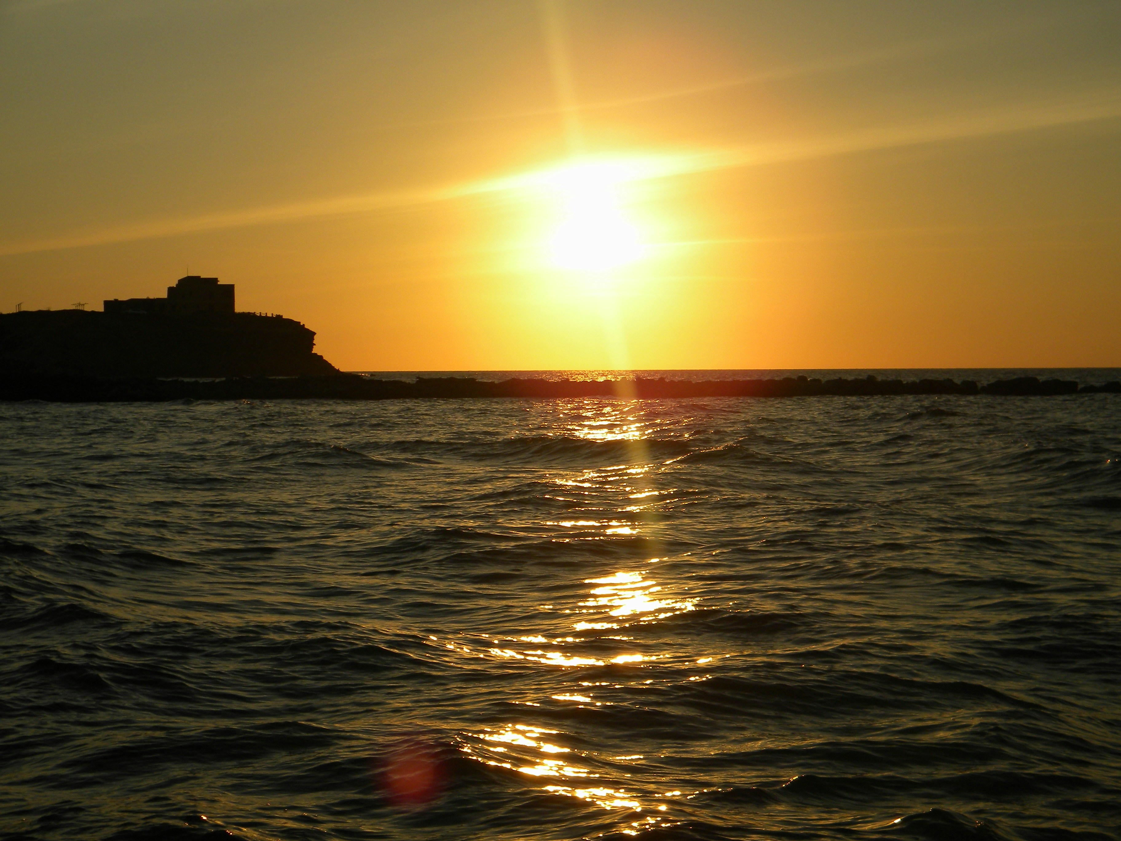 Free Unsplash photo from luis palacio