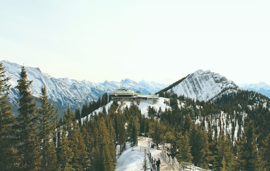 Sulphur Mountain things to do in Banff