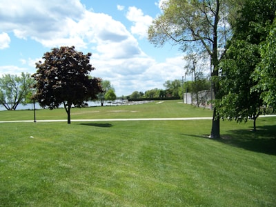 A lush, green park landscape features sprawling grass, a few scattered deciduous trees with varying shades of green leaves, and a clear blue sky with fluffy white clouds. A paved pathway cuts across the grass, and there is a body of water in the distance framed by more trees.