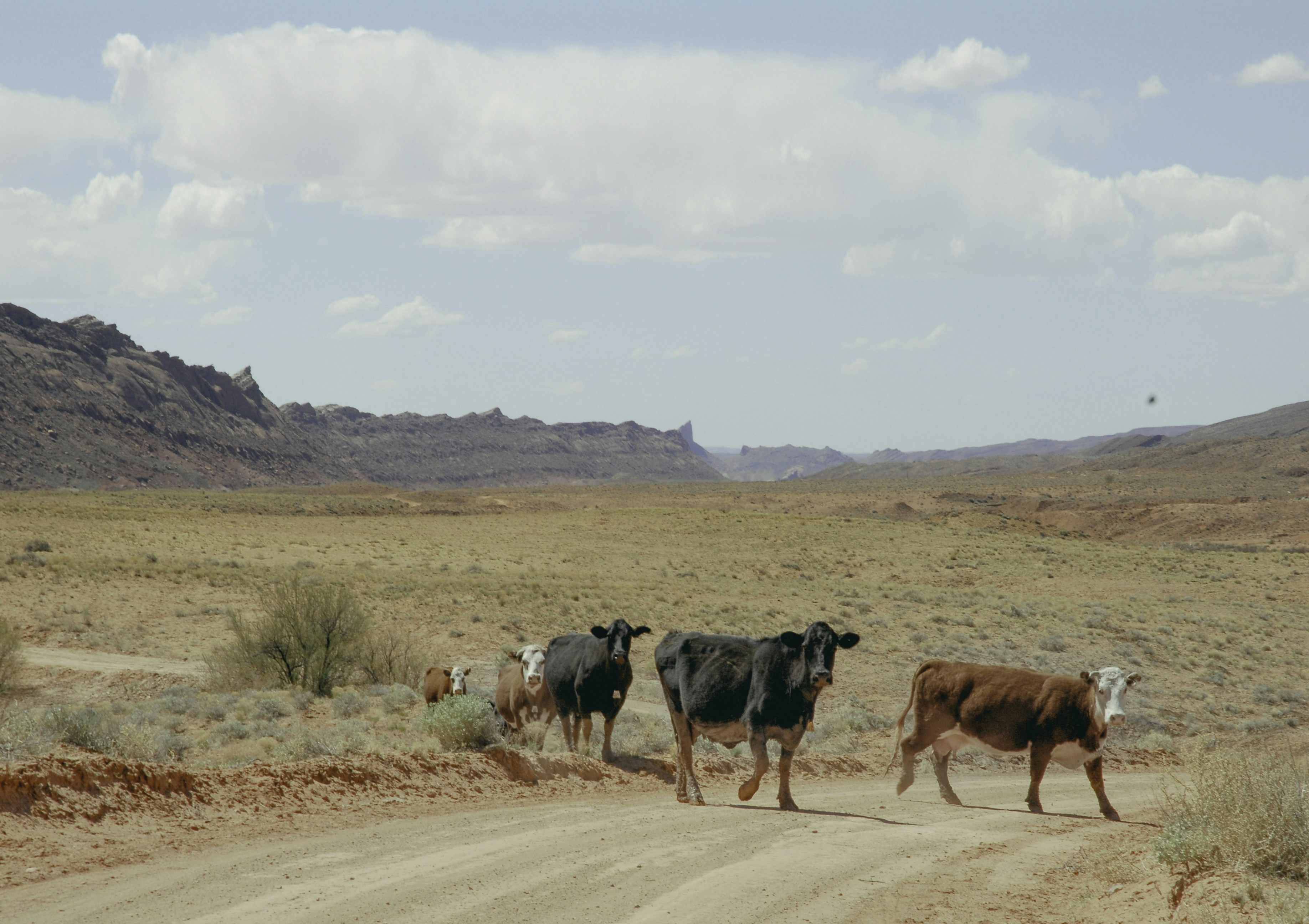 Free Unsplash photo from Ben Clarke