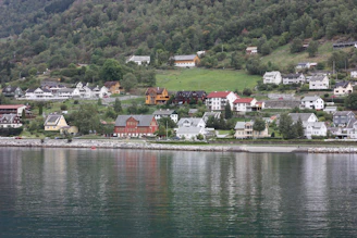 A peaceful coastal village scene with colorful houses nestled among lush tropical greenery.